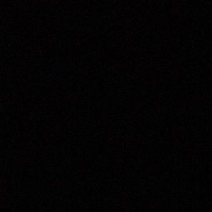 Meet your Posher, Bobby